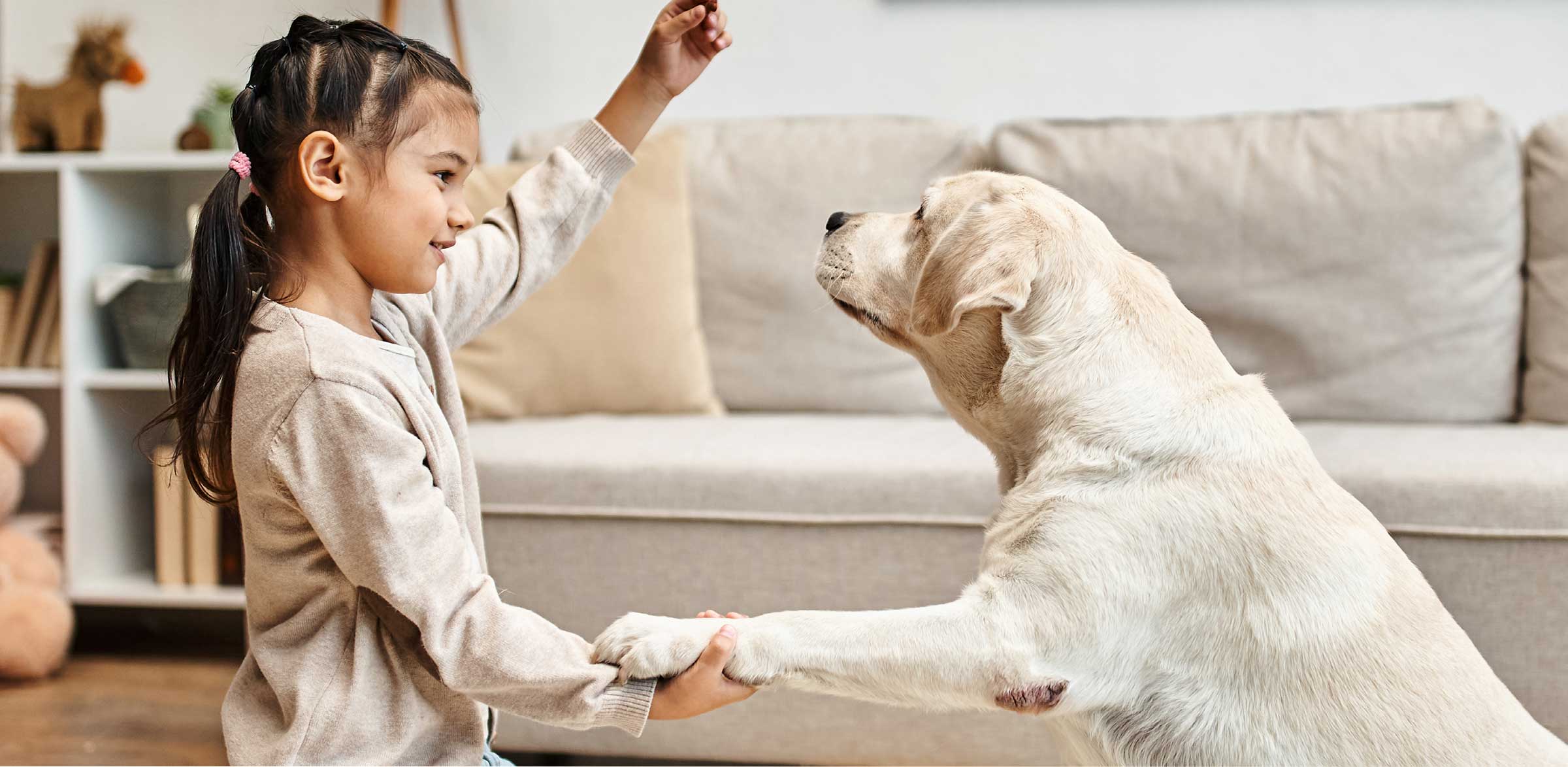 Letting your HVAC system filter out pet dander.